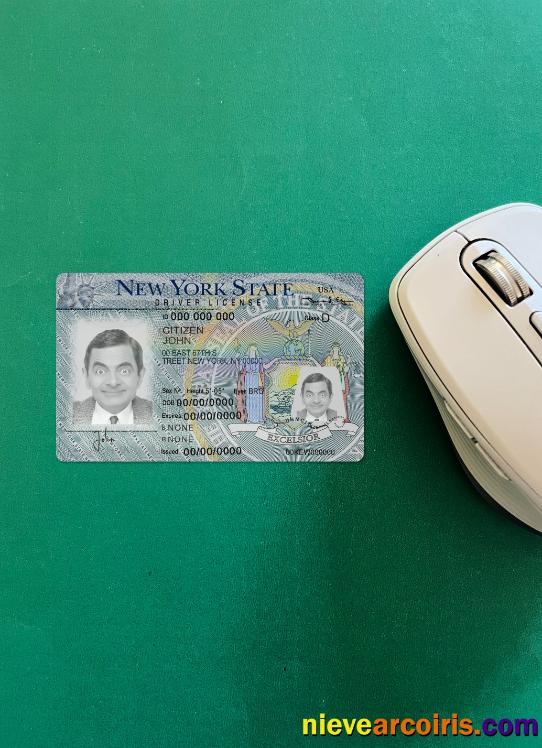 New York driving license version 2 photolook